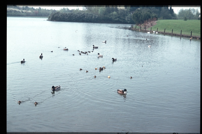 28.Efteling mei 1970.JPG